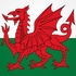 Welsh Wildlife (Wildlife of Wales) icon