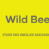 Wild Bees Project icon