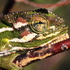 Chameleons of Cape Town Atlas icon