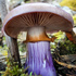 Fungi of Tasmania icon