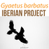 Gypaetus barbatus Iberian Project icon