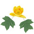 Tulip Tree Springs icon