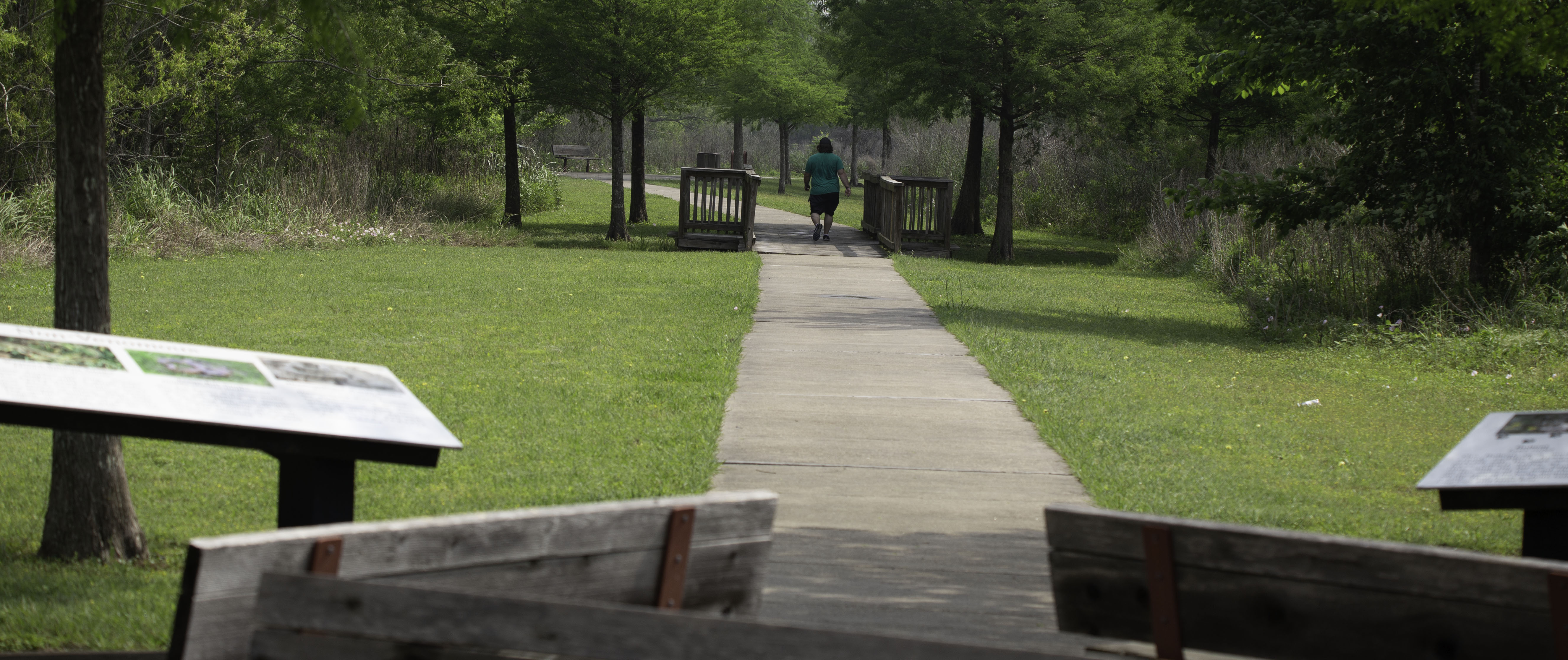 Shadow Creek Ranch Trail and Nature Park · iNaturalist