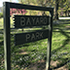 Trees of Bayard Park Evansville icon