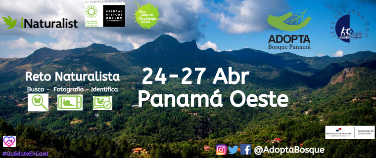 Reto Naturalista Urbano 2020: Panama Oeste · iNaturalist NZ