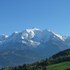 Biodiversity of Italian Mountains icon