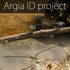 Argia ID project icon