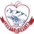 Chelan Co. Bees icon