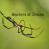 Spiders of Assam icon