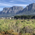Table Mountain National Park icon