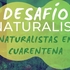 Naturalistas en Cuarentena icon