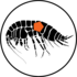 Amphipods and Acanthocephalan Parasites icon