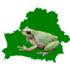 Amphibians of Belarus icon