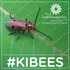 2020 KIBees Pollinator Count icon