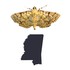 Moths of Mississippi icon