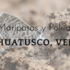 Mariposas y Polillas Huatusco icon