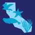 Duxbury Reef South Bioblitz icon