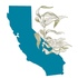 California Seaweeds icon