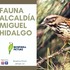 Fauna Alcaldía Miguel Hidalgo icon