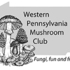 WPMC Summer Mushroom BINGO 2020 icon