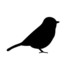 Birds of Rainford, St Helens, Merseyside icon