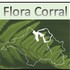 Levantamiento Participativo Flora Nativa Comuna de Corral icon