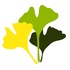 中国野生植物 icon