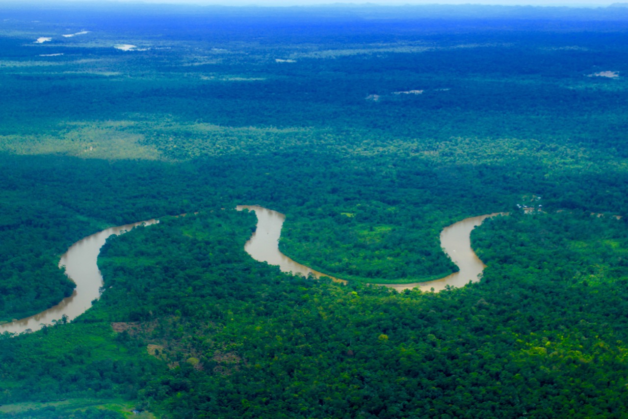 Cuenca del Atrato · iNaturalist