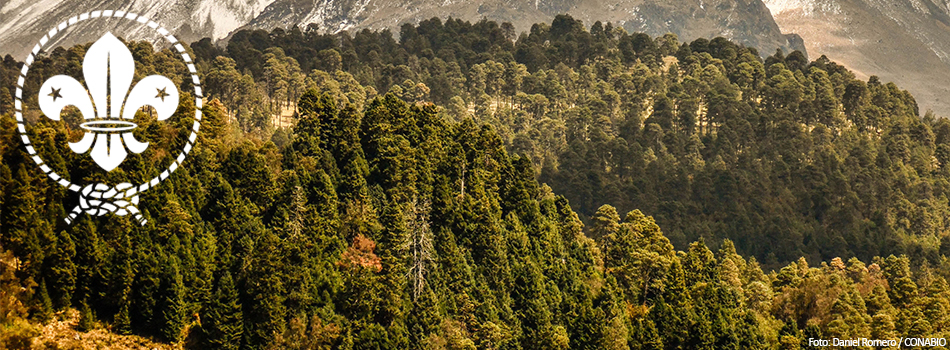 Parque Estatal El Ocotal, Edo de México · iNaturalist Mexico
