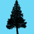 SCA CitSCi Forest icon