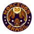 Morcegos do Brasil icon