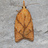 Moths of Ontario icon