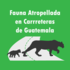 Fauna Atropellada en Carreteras de Guatemala icon