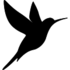 Baylor County Birds icon
