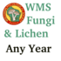 All Fungi by Wisconsin Mycological Society (WMS) Members icon