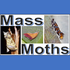 Mass Moths icon