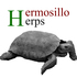 Hermosillo Herps icon