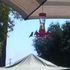 Hummingbird photo frenzy icon