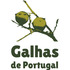 Galhas de Portugal icon