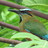 Biodiversidad del Centro Ecoturístico Kiichpam K&#39;áax icon