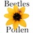 Beetles with pollen icon