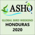 Global Bird Weekend: Honduras 2020 icon