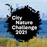City Nature Challenge 2021: Chicago Metro icon