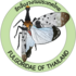 Lanternflies (Fulgoridae) of Thailand icon
