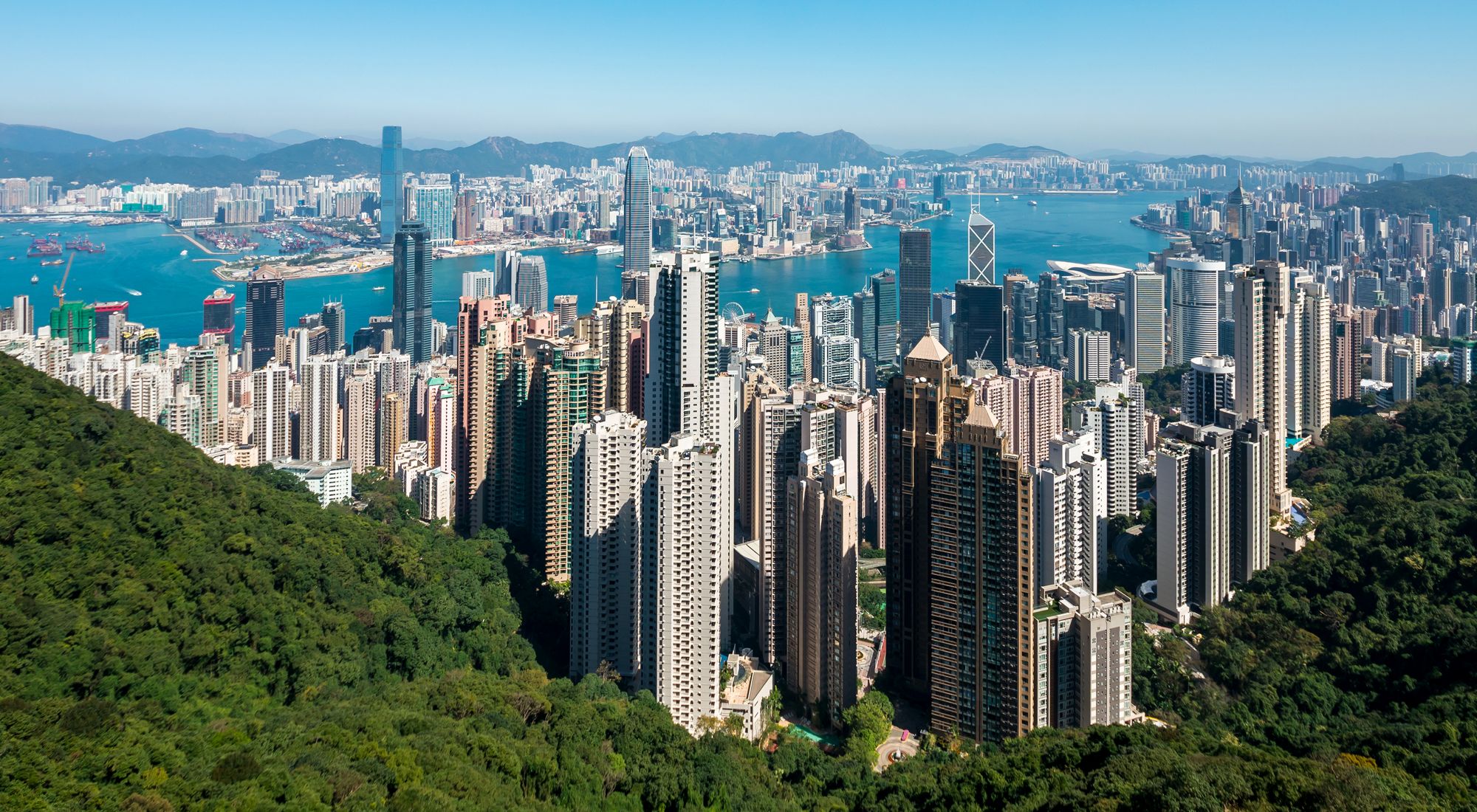 City Nature 2021: Hong Kong · iNaturalist
