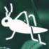 Diversidad de insectos en Lagos de Moreno icon