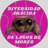 Diversidad Arácnida de Lagos de Moreno icon