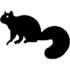 Black Squirrels of Santa Cruz County icon
