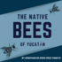 The Native Bees of Yucatán icon