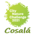 City Nature Challenge 2021: Cosalá, Sinaloa icon